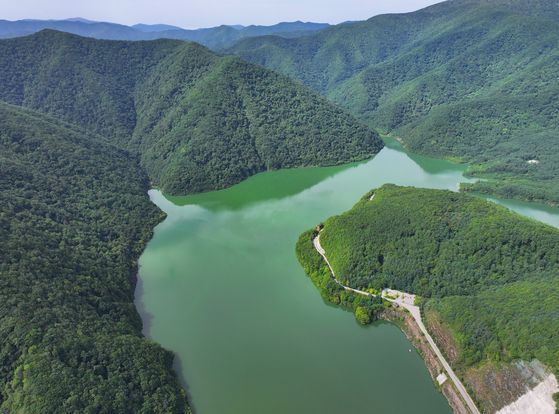 강원 평창군 대관령면 도암댐에 초록빛 물이 차 있다. 연합뉴스