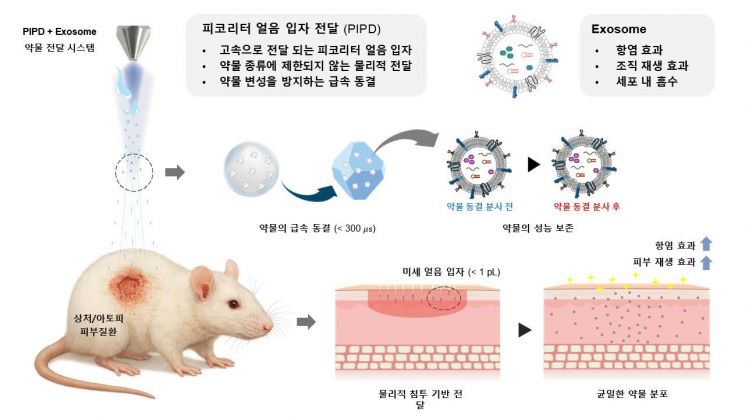 리센스메디컬·스템엑소원 공동연구팀, 난치성 피부질환 치료의 새 가능성 제시