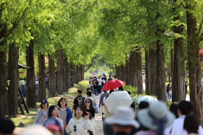 순천만국가정원. 순천시 제공