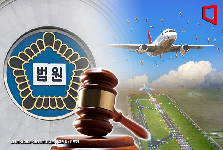 Court Halts Saemangeum Airport Construction: "Bird Strike Risk Higher Than Any Other Airport"