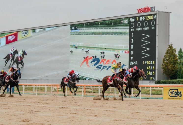 "승부는 단 70초에 결정"… 짜릿한 박진감으로 3만 관중 압도 ‘OBS 코리아컵·코리아스프린트’ 성황