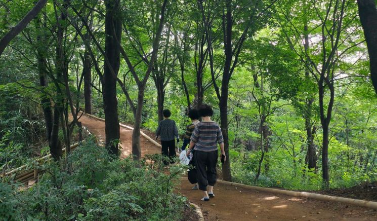 김상임씨(75)와 주민들이 서울 서대문구 궁동산 정상 맨발걷기 길에서 걷고 있다. 최영찬 기자