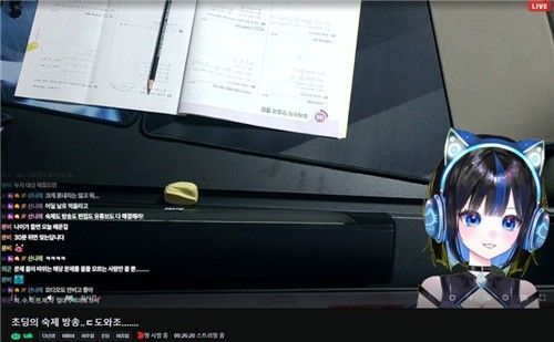 초등학생임을 내세우는 버튜버의 실제 스트리밍 방송 모습. 웹사이트 캡처 연합뉴스