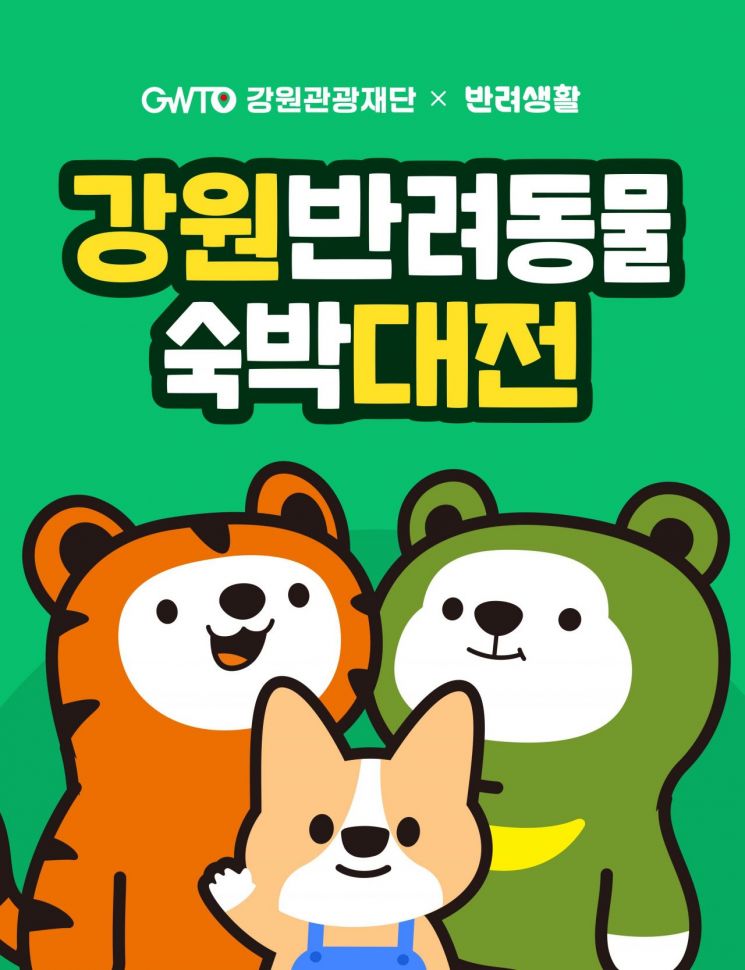 강원도 "추석 황금연휴엔 반려견과 강원으로"…반려동물 숙박대전 개막