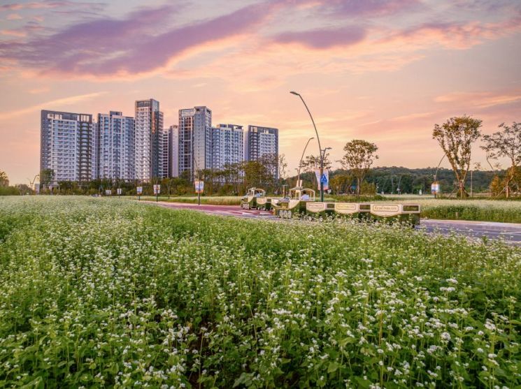 DK아시아 로열파크씨티Ⅱ, 순백의 메밀꽃과 황토 십리길 9월 20일 오픈