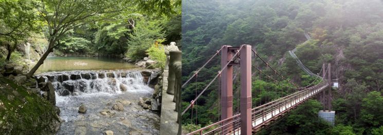 담양 가마골생태공원 내 용소(사진 왼쪽)와 시원교(출렁다리). 담양군 제공