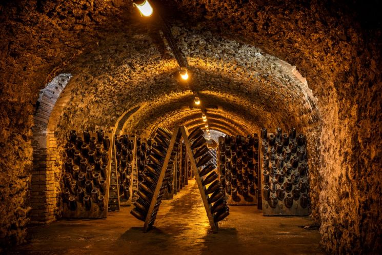 [Akyung Wine Cellar] "Bubbles That Never Fade"... Sparkling Golden Champagne