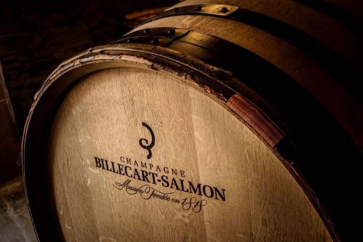 [Akyung Wine Cellar] "Bubbles That Never Fade"... Sparkling Golden Champagne