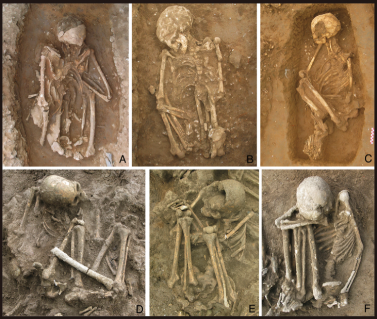 Professor Xiao Chunhong of Australian National University and the research team analyzed 54 skeletal remains discovered at 11 archaeological sites in southern China, northern Vietnam, and Sumatra Island in Indonesia from 2017 to 2025. All were in a seated position with legs bent and gathered together. Proceedings of the National Academy of Sciences (PNAS)