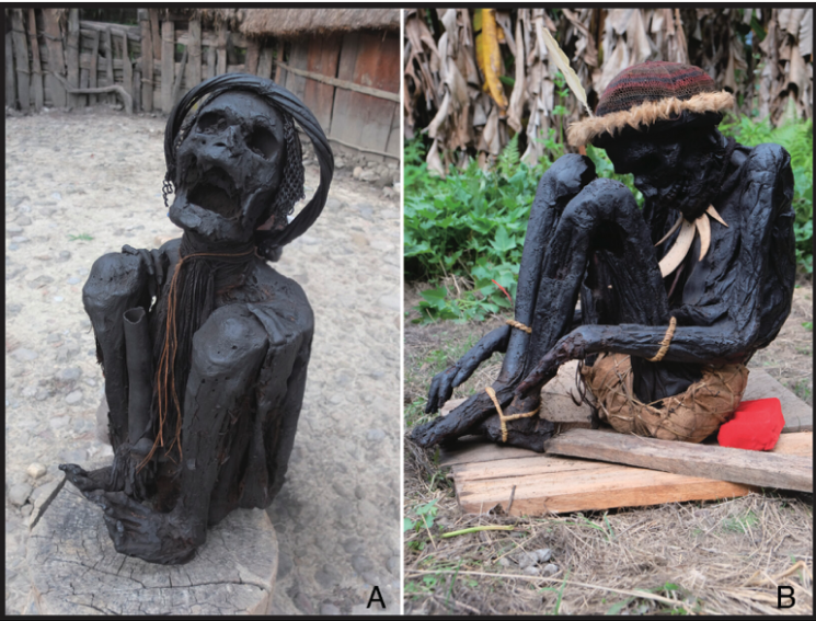 The funeral custom of creating mummies through smoking still exists today in Papua New Guinea. Researchers interpreted that drying the body with smoke to make mummies was likely the best option for preserving corpses in a humid environment. PNAS