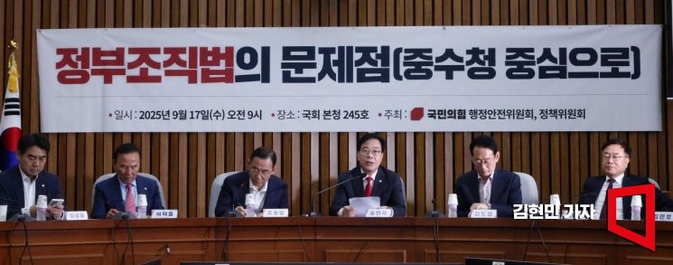 [포토] 국민의힘, 정부조직법 문제점 토론회