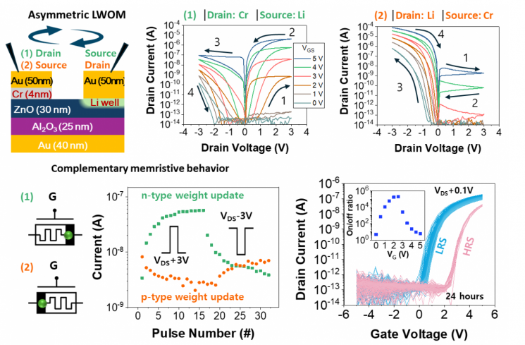 Schematic diagram of the structure of a lithium-based memtransistor (Li well memtransistor) device and the non-volatile weight update characteristics controllable by the gate terminal. Kyung Hee University