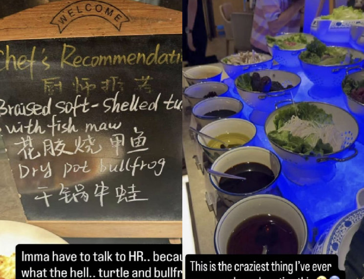 "제정신 아닌 중국 음식, 먹을 건 국수뿐"…美 테니스 선수 막말 논란