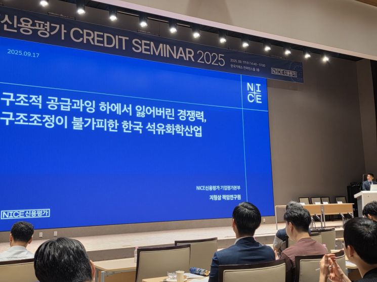 나신평 "사면초가에 빠진 석유·화학…구조조정 불가피"