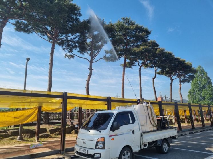 Jeollanam-do Province will undertake various preventive activities to block the occurrence of major invasive pests such as the brown-winged cicada on forests and agricultural lands. Provided by Jeonnam Province