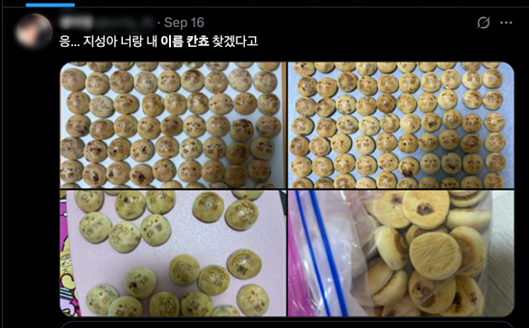 롯데웰푸드의 '내 이름을 찾아라' 이벤트가 챌린지 형태로 SN를 중심으로 확산하면서 '칸쵸'의 매출이 폭증하고 있다. 엑스