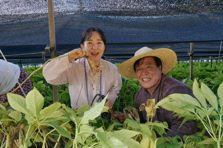 가족이 함께 웃고 즐기는 '인삼캐기' 체험여행 호응
