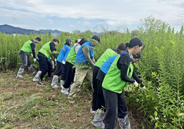 에어부산, 생태교란종 제거로 생물다양성 보전 앞장
