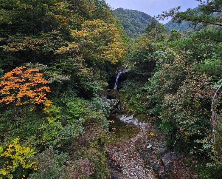 동해시, 소금길 생태녹색 관광자원 명소화 '박차'