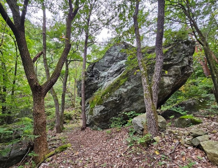 동해시, 소금길 생태녹색 관광자원 명소화 '박차'