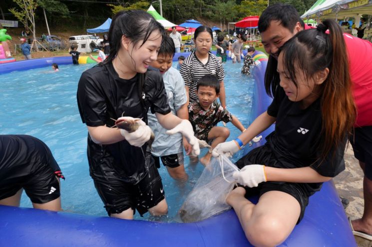 축제  참가자들이'물고기 맨손 잡기'를 즐기고 있다. 보성군 제공