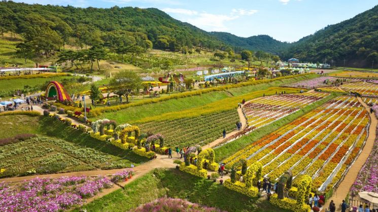 '가을만화(滿花)' 가득…화순 고인돌 축제 10월17일 개막
