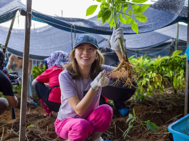 외국인이 더 즐기고 좋아하는 '인삼캐기' 체험