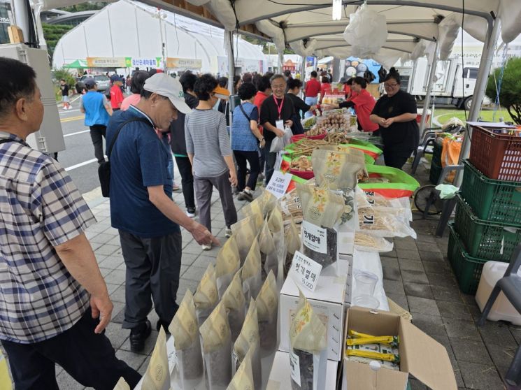 '금산세계인삼축제' 초가집 '인삼 저잣거리' 체험 인기