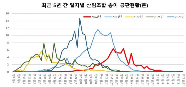 "생산량 적을 듯" 송이버섯 이달 말부터 채취