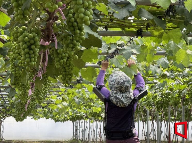 Hyundai Motor and Kia Ease Farmers' Burden with 'X-BL Shoulder'