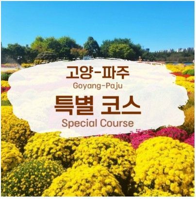 경기서북부 광역시티투어 '끞', 고양가을꽃축제 연계 특별노선 운행