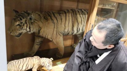 The Tiger Tragedy Highlighted by K-Pop Demon Hunters: Why Did Japan Wipe Them Out?