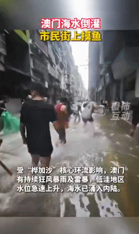 상하이데일리 엑스. 등시호동 영상 갈무리
