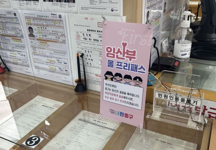 임산부 올 프리패스. 중구 제공.