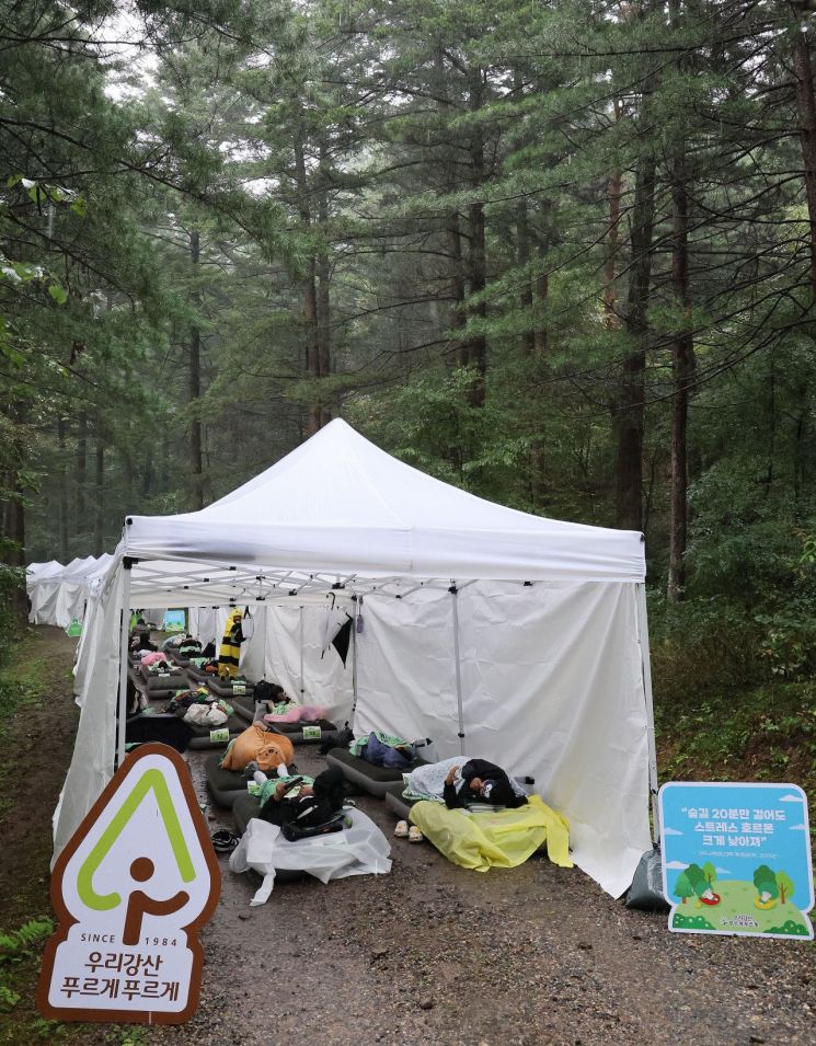 [포토] 빗소리 들으며 숲속에서 꿀잠을...