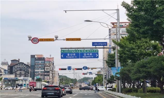 '난폭운전' 뒷번호판 찍었더니 벌써 9만건 적발