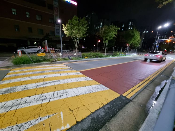 [포토] 세종시 대평동 '어린이보호구역 시설물' 파손