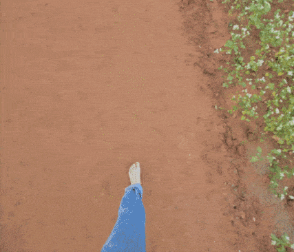 '신검단 로열파크씨티Ⅱ' 인근 황톳길과 메밀꽃밭. 최서윤 기자