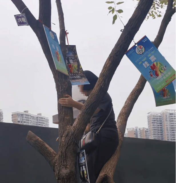 지난 21일 융저우 축구협회는 나무에 매달려 축구 경기를 관람하는 '나무에 매달린 티켓'을 제공해 눈길을 끈 바 있다. 지무뉴스