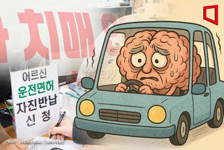 "치매환자 100명 중 6명, 운전면허 유지 중"