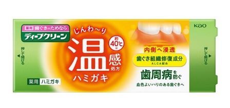 일본 카오의 딥클린 약용 온감 치약