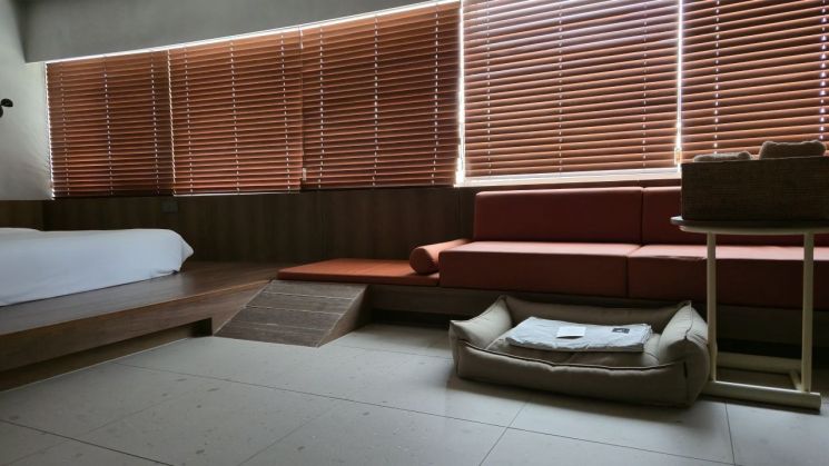 반려동물 친화 호텔 '키녹' 객실 전경.[사진=구은모 기자]