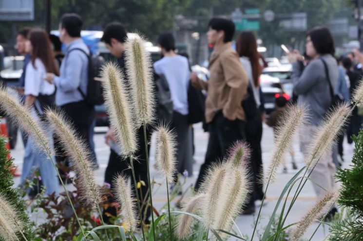 일교차가 벌어지며 쌀쌀한 가을 날씨를 보인 29일 서울 종로구 광화문광장 인근에서 긴소매 옷을 입은 시민들이 횡단보도 신호를 기다리고 있다. 연합뉴스
