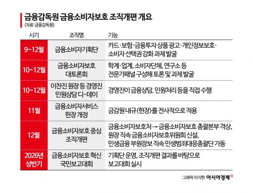 [금융현미경]이찬진 금감원장, 금소처 격상 추진…내년 국민보고대회 예고