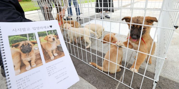임실군이 내달 8~12일 열리는 임실N치즈축제에서 반려동물 문화 조성을 위한 홍보관을 운영한다. 임실군 제공