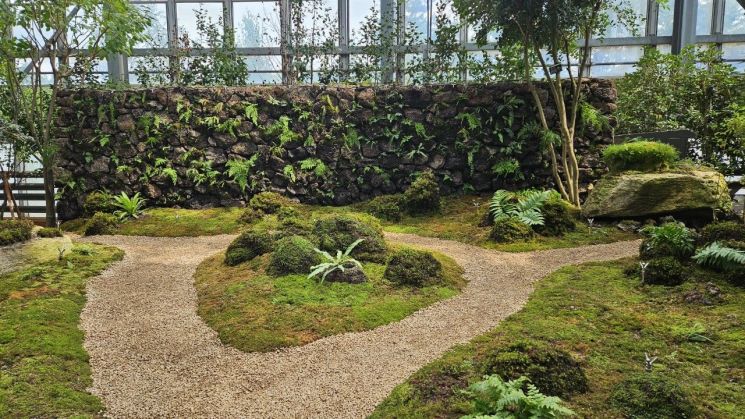 화성시가 우리꽃식물원에 100㎡ 규모로 조성한 '이끼원'. 화성시 제공