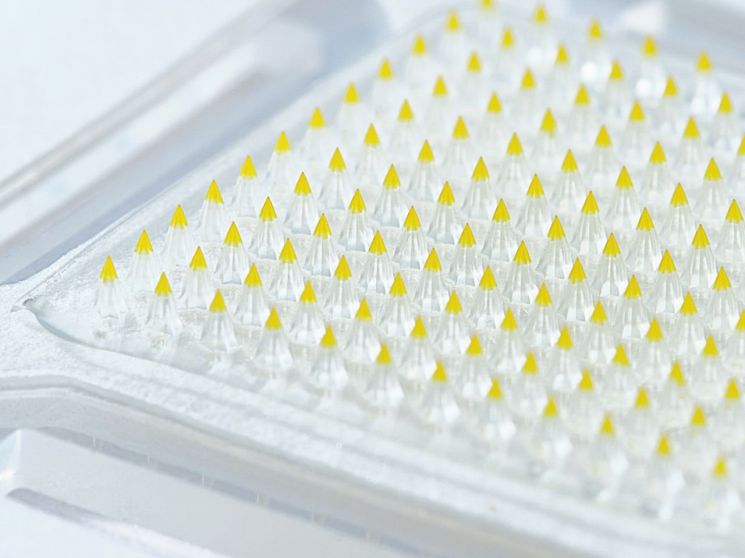 대웅테라퓨틱스가 개발한 마이크로니들 패치의 약물층을 시각적으로 표현하기 위해 색소를 첨가하고 4.2배 확대 촬영한 모습. 대웅제약