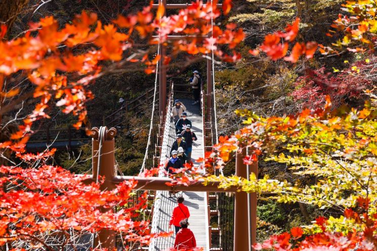 양양군, 가을 단풍철 오색지구 교통관리 대책 추진