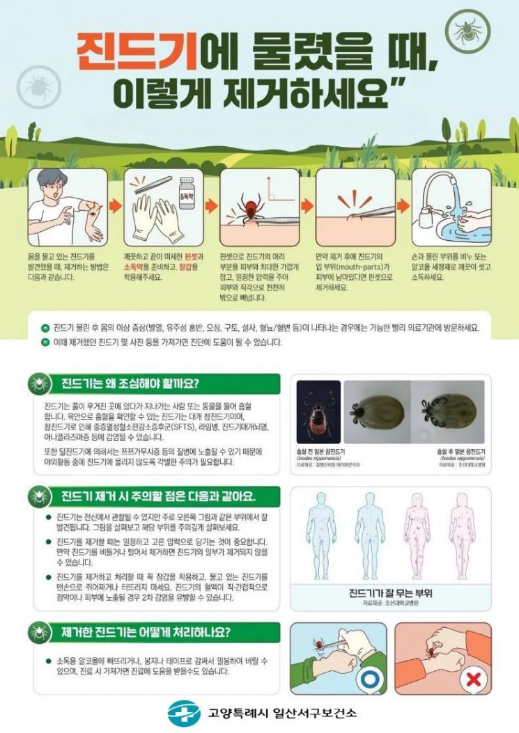 고열·몸살 가을감기 아닐수도…성묘·벌초 '진드기 감염병' 주의하세요
