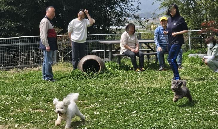 Five New Preliminary Social Enterprises Designated, Including Traditional Liquor and Healing Farms... Three Years of Consulting and Market Development Support